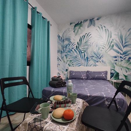 Habitacion Cactus, Entrada Privada Y Bano Privado En Suite By Flamingo House, No Fumadores 아리시페 외부 사진
